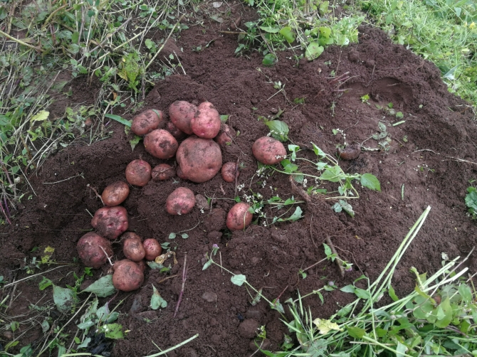 IMG_20190828_151759 IMG_20190828_151759