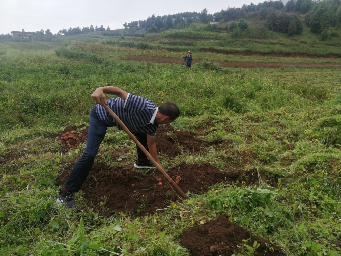 IMG_20190828_151841 IMG_20190828_151841