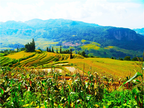 森林、水系、梯田、村寨，讓阿者科村美麗異常。記者江楓 攝