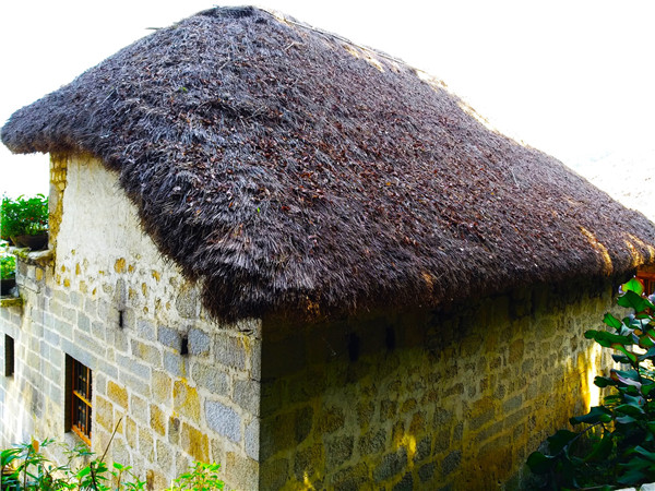 阿者科村極富特色的哈尼族傳統(tǒng)民居蘑菇房。記者江楓 攝