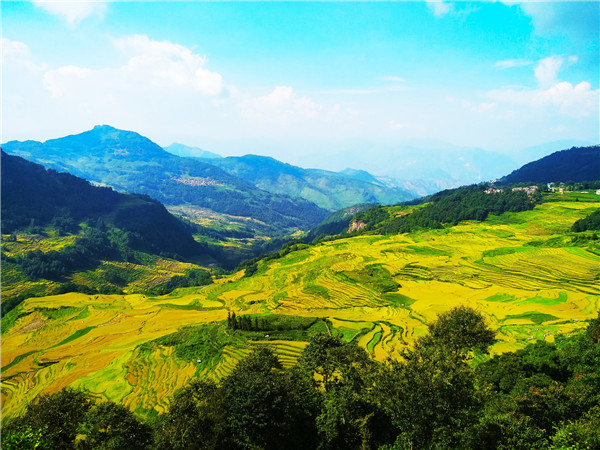 在阿者科村觀景臺(tái)攝影，成為游客的最愛。記者江楓 攝