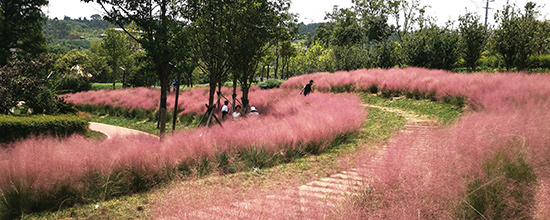 mmexport1567247825585 mmexport1567247825585