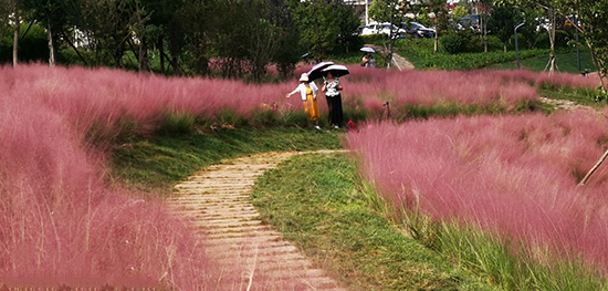 IMG_20190831_184539 IMG_20190831_184539