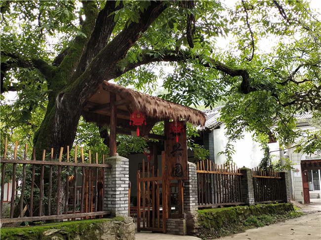 光明村農(nóng)家樂。記者刁鳳云攝