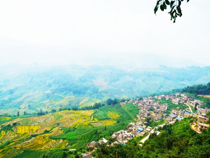 微信圖片_20190831212229