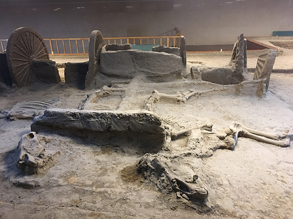 6f76710a965949bb8b23eed8a6ad3fa0 6f76710a965949bb8b23eed8a6ad3fa0