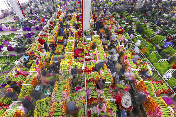 治愈系的斗南花市