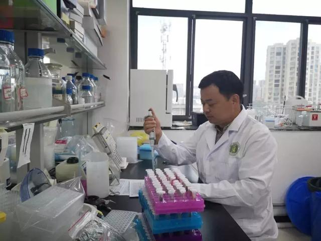 “袁三代”吳俊：堅守田間的“稻草人”