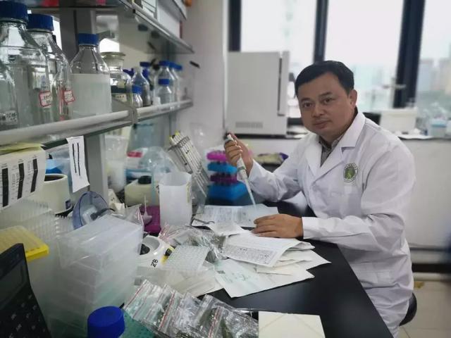 “袁三代”吳俊：堅守田間的“稻草人”