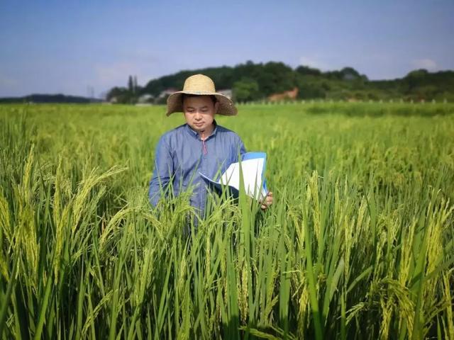 “袁三代”吳?。簣允靥镩g的“稻草人”