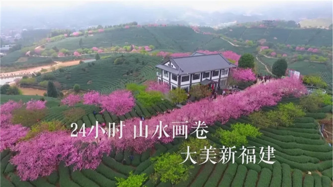 a_3529789228428779526 a_3529789228428779526