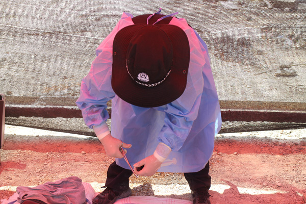 微信圖片_201908261110311