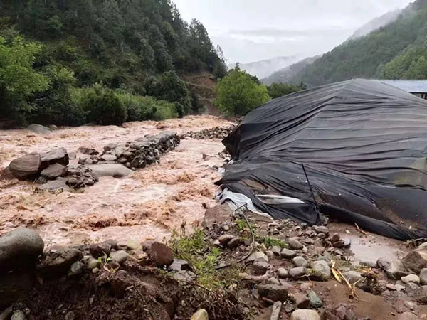 640.webp (12) 640.webp (12)