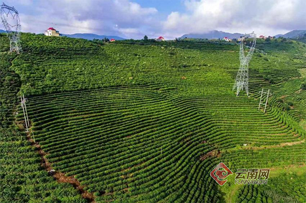 00300882540_b82b617a 00300882540_b82b617a