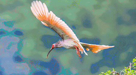 這才是最重要的人生第一課