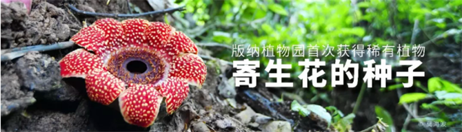 QQ截圖20190903172621