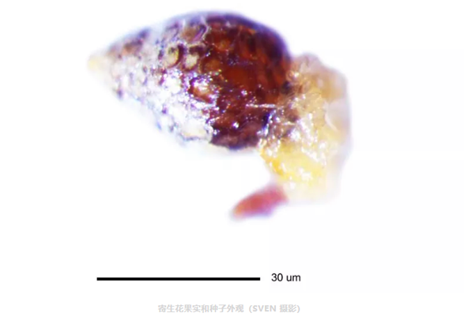 QQ截圖20190903172645