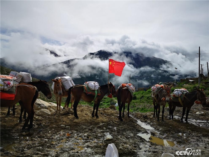 尼泊爾馱隊準(zhǔn)備出發(fā)。（何川 攝）