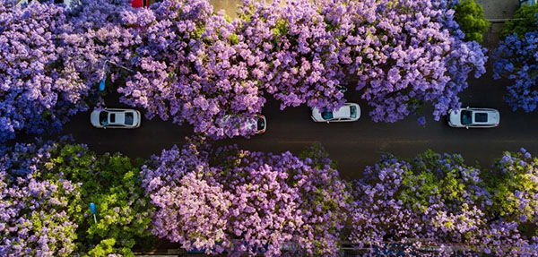 640.webp (7) 640.webp (7)