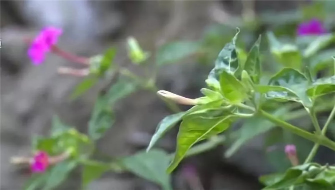 640.webp (6) 640.webp (6)