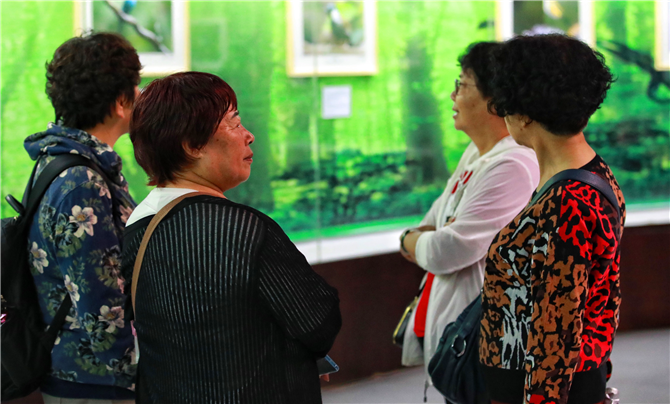 參觀攝影展的市民