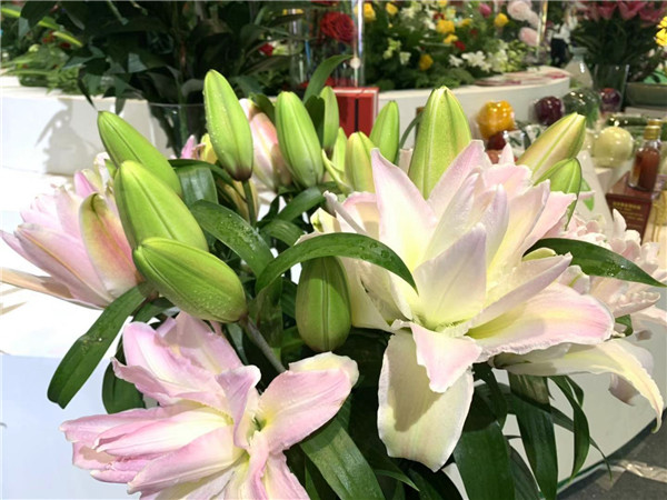 微信圖片_20190905164120