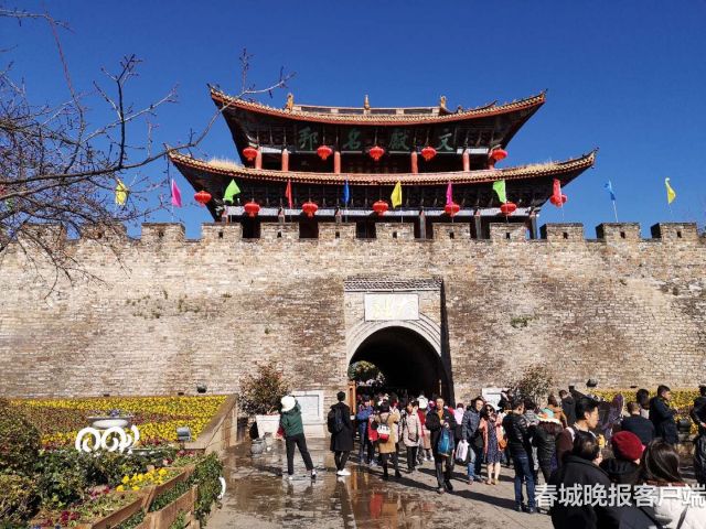 紅燈籠、山茶花，還有小豬來拜年，大理古城濃濃年味邀你過大年！ (6)