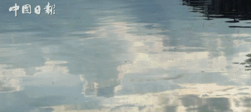 老外到大理洱海尋找“詩(shī)和遠(yuǎn)方”，可這里的客棧怎么關(guān)了大半？