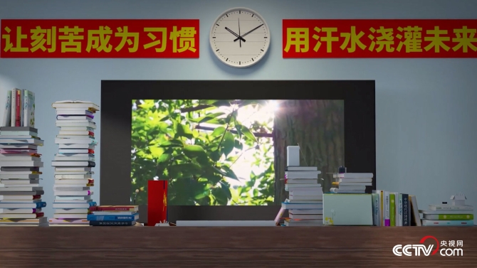 2019090900144668353 (1)