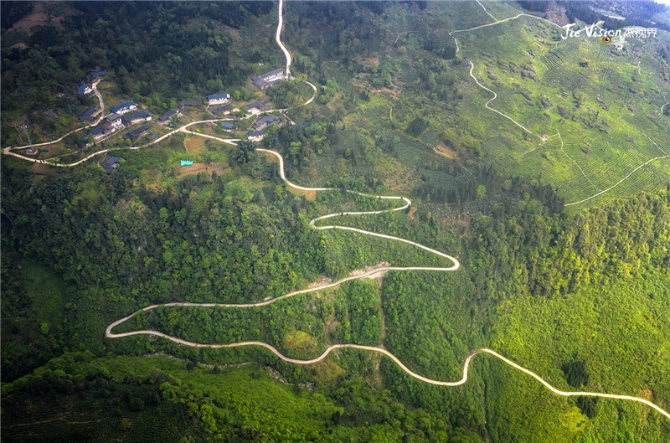 ba8c492a-af2d-4d9c-a892-f89546399561