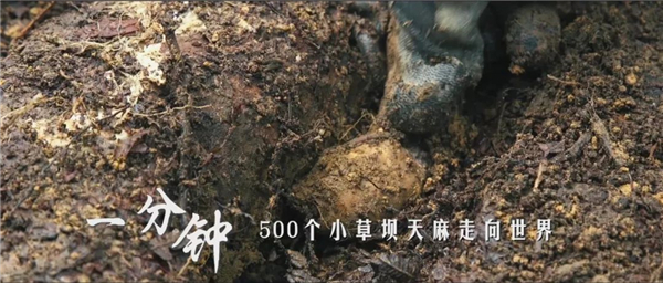 00300898631_11540973 00300898631_11540973