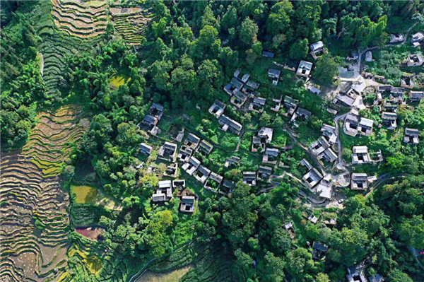 航拍下的梯田與村落 局部 攝