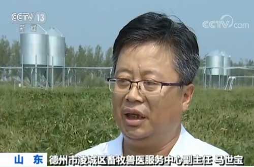 記者調(diào)查 豬肉穩(wěn)產(chǎn)保供措施頻出 養(yǎng)殖戶信心增強(qiáng) 正擴(kuò)大產(chǎn)能