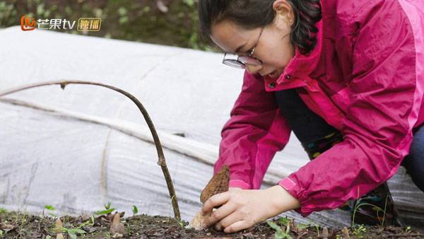 云南女村官當(dāng)主播