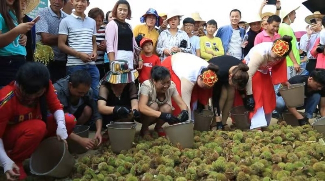 微信圖片_201909101628005