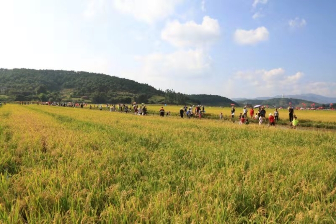 微信圖片_201909101628003