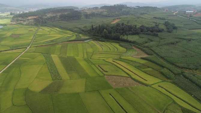 微信圖片_201909101628006