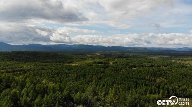 點(diǎn)擊進(jìn)入下一頁