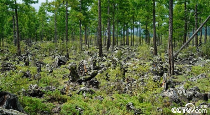 點(diǎn)擊進(jìn)入下一頁