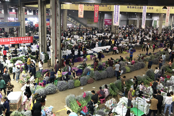 斗南花市開(kāi)市 斗南花市開(kāi)市