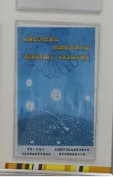 viewdownfile (11) viewdownfile (11)