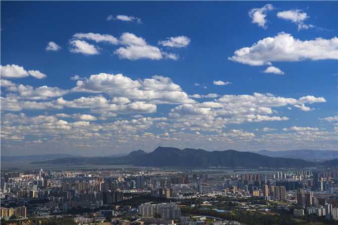 金獎作品。作者：張家翰