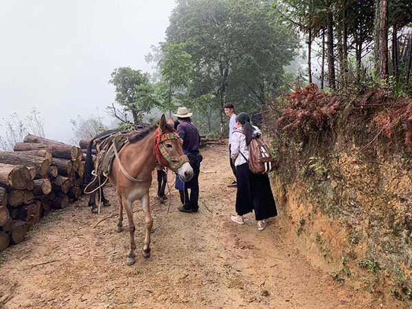 微信圖片_20190912012521