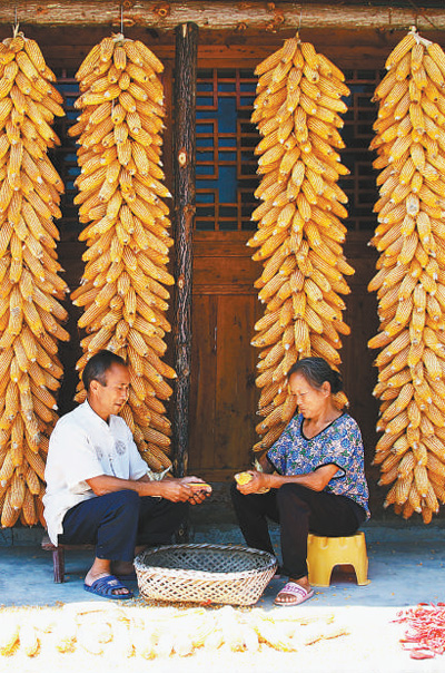 1568400131960_1 1568400131960_1