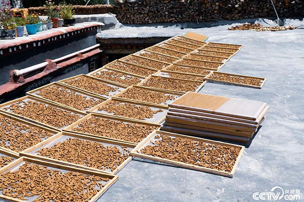 QQ截圖20190914163704 QQ截圖20190914163704