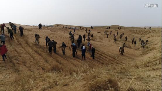 E88CF90C@6B439E1E.B1886C5D.jpg.jpg E88CF90C@6B439E1E.B1886C5D.jpg.jpg