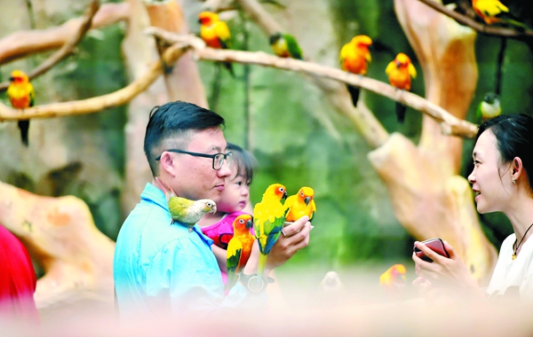 WSF_2769_副本 WSF_2769_副本