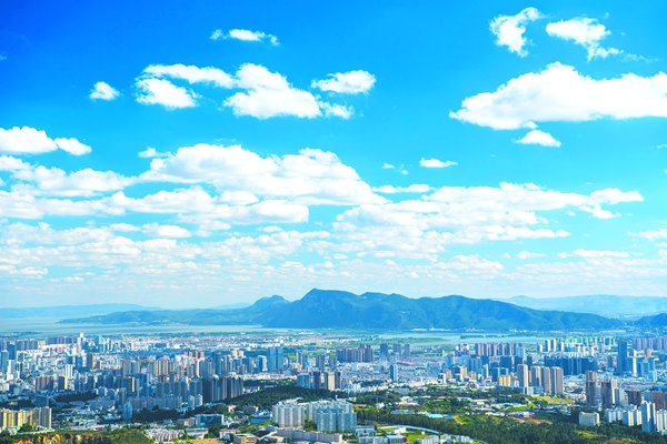 睡美人金獎 作者張家翰攝 睡美人金獎 作者張家翰攝