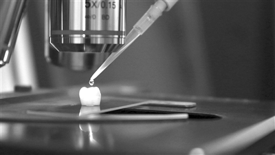 duanjia9935_b duanjia9935_b