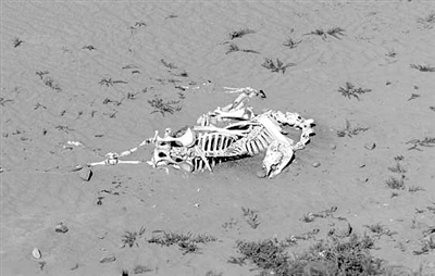 changlj9961_b changlj9961_b